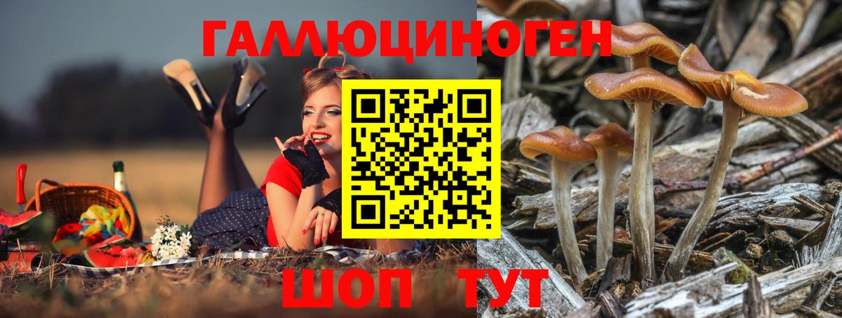 Галлюциногенные грибы Cubensis Кольчугино