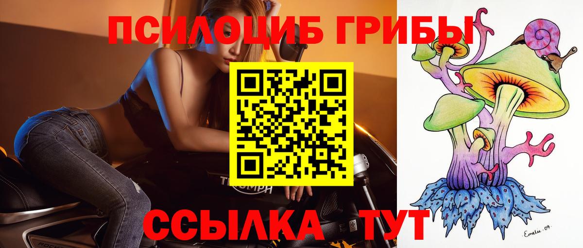 закладки  Псилоцибиновые грибы Magic Shrooms  Вход с VPN  Кольчугино 